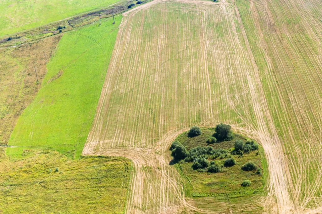green winter and yellow harvested fields PHANQQ9 1500x1000